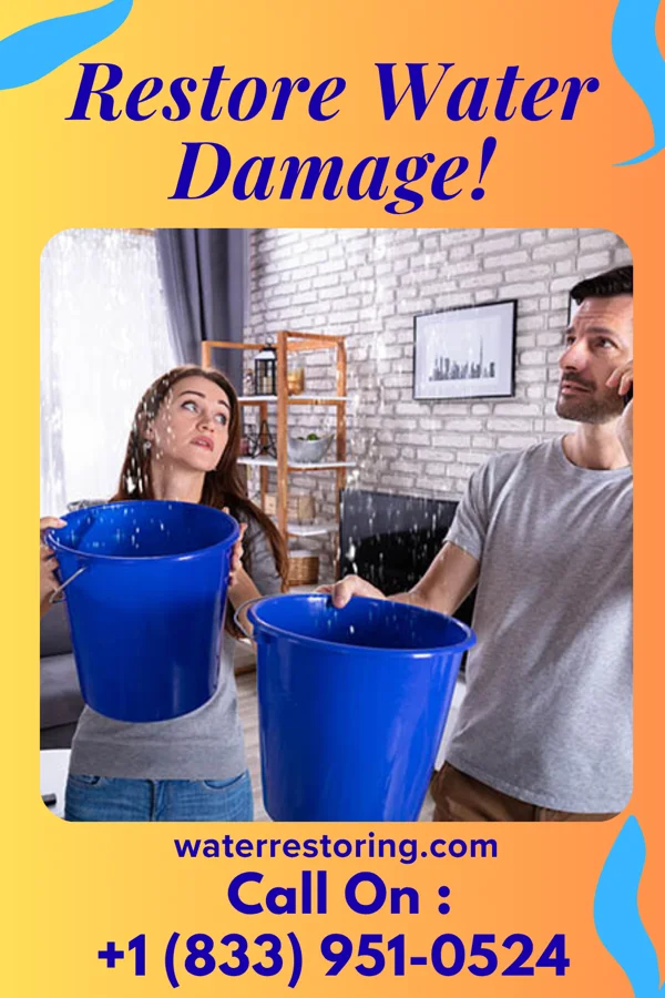 water restoration Local Water Cleanup Network Holland