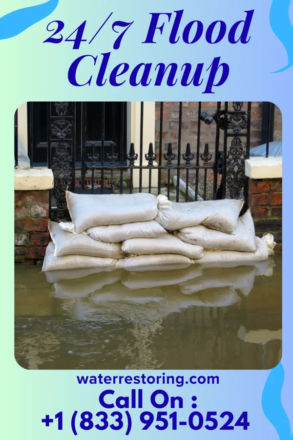 24/7 Flood Cleanup in Holland, MI