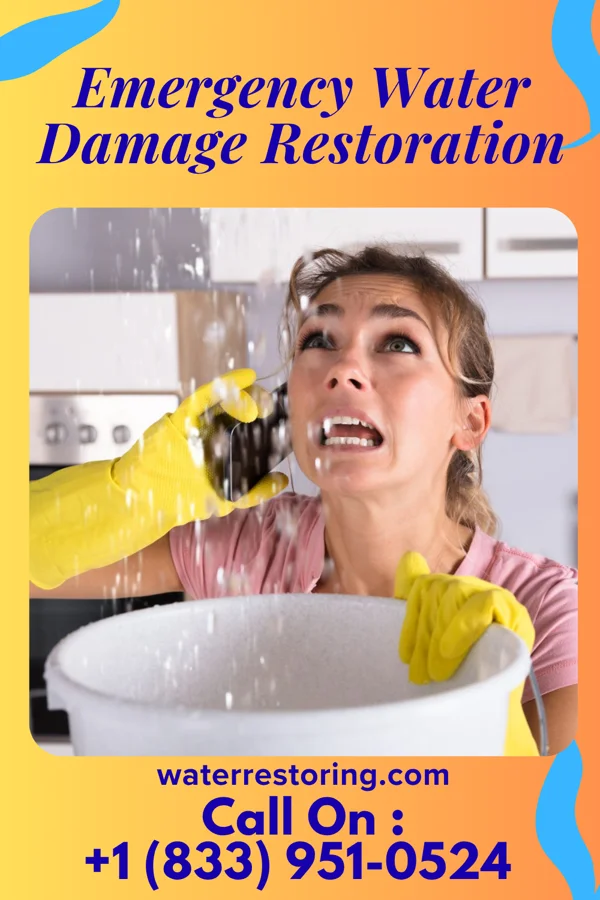 Emergency Water Damage Restoration in Holland, MI