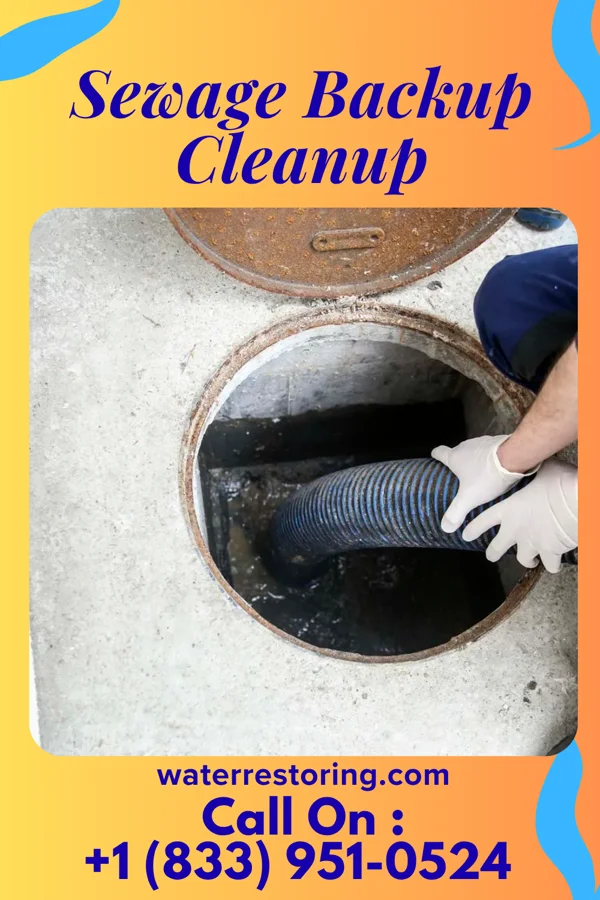 Sewage Backup Cleanup in Holland, MI